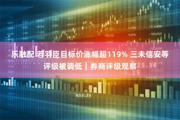 乐融配 若羽臣目标价涨幅超119% 三未信安等评级被调低｜券商评级观察