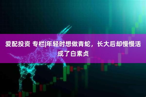 爱配投资 专栏|年轻时想做青蛇，长大后却慢慢活成了白素贞