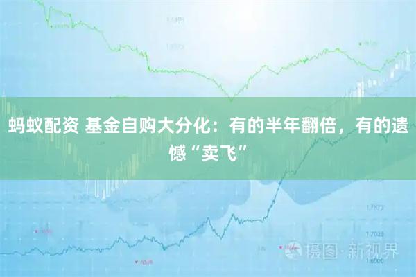 蚂蚁配资 基金自购大分化：有的半年翻倍，有的遗憾“卖飞”