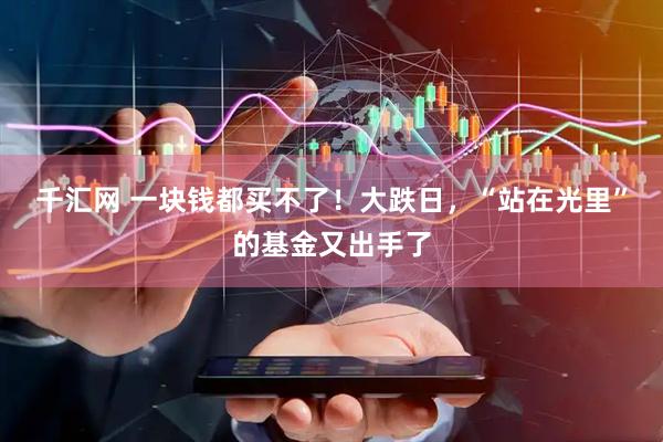 千汇网 一块钱都买不了！大跌日，“站在光里”的基金又出手了