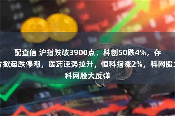 配查信 沪指跌破3900点，科创50跌4%，存储芯片掀起跌停潮，医药逆势拉升，恒科指涨2%，科网股大反弹