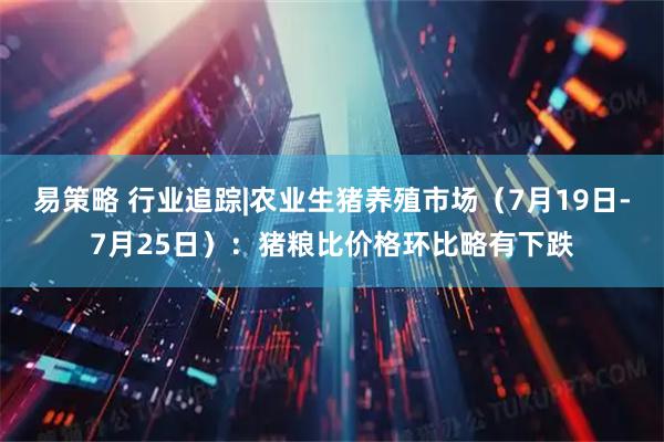 易策略 行业追踪|农业生猪养殖市场（7月19日-7月25日）：猪粮比价格环比略有下跌