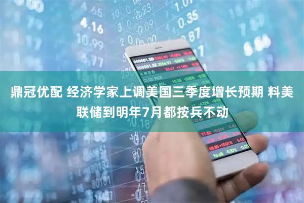 鼎冠优配 经济学家上调美国三季度增长预期 料美联储到明年7月都按兵不动